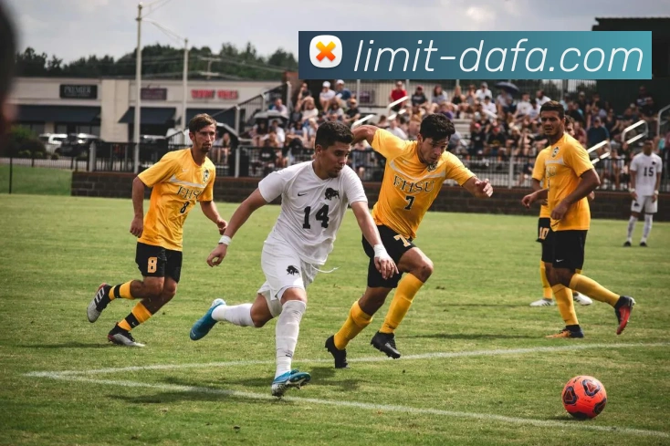 App Interface Preview